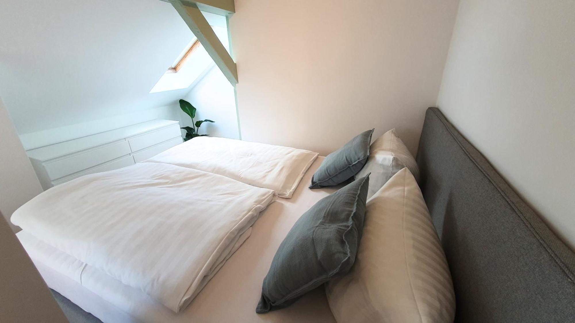 Good Stay Aparthotel Mit Kostenlosen Parkplaetzen Dresda Esterno foto